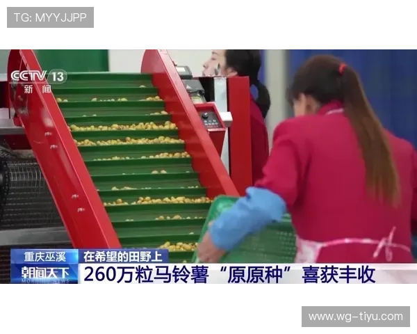 芳草地开奖现场见证幸运时刻 芳草地开奖现场见证幸运时刻